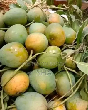 Formalin-free Mangoes