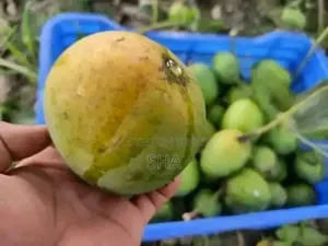 Formalin-free Mangoes