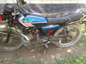 Walton Cruize 2012 Blue
