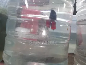 Aquarium fish with various types of shrimp available