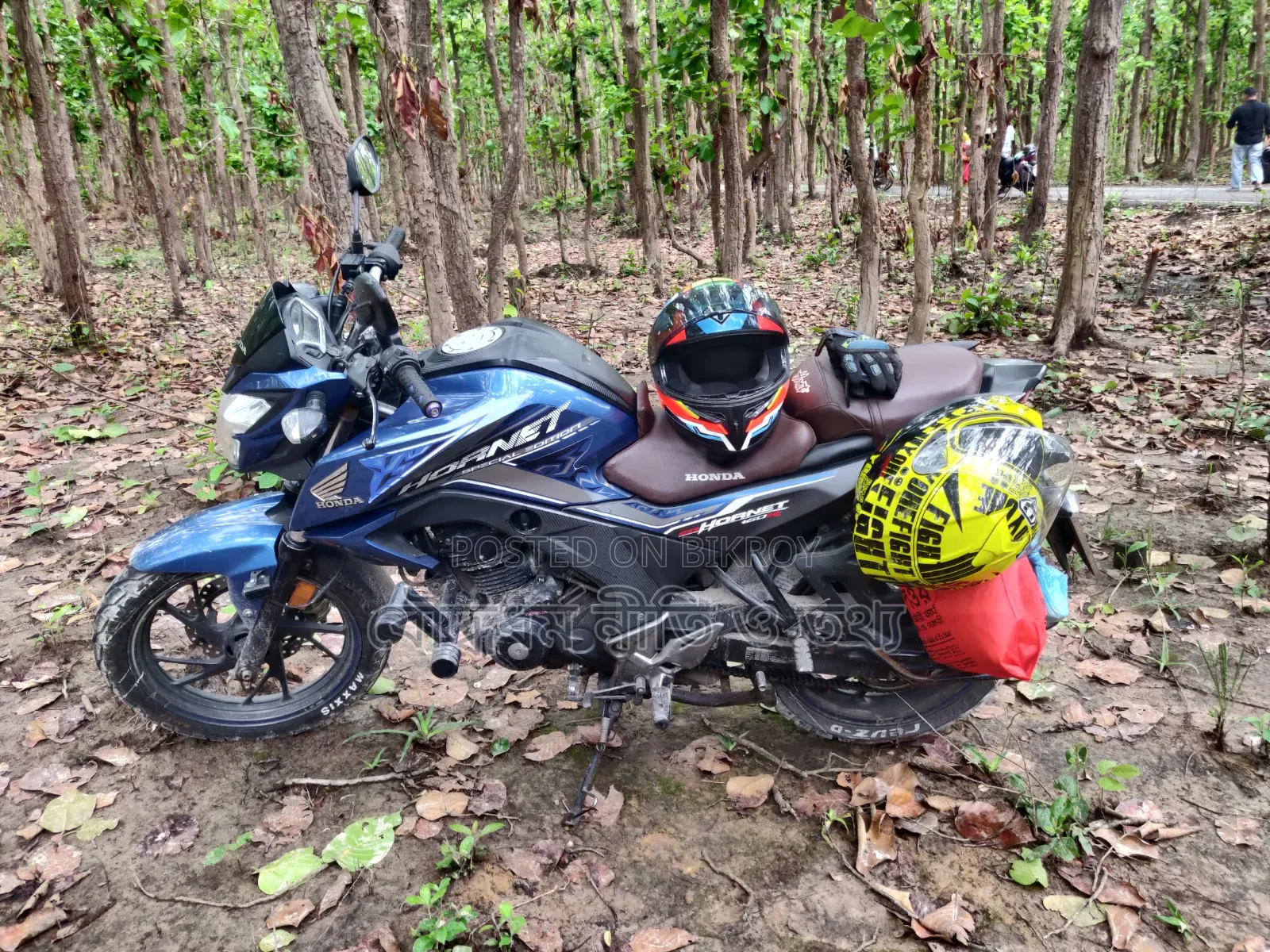 Honda Hornet 2021 Blue