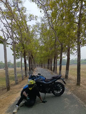 Honda Hornet 2021 Blue