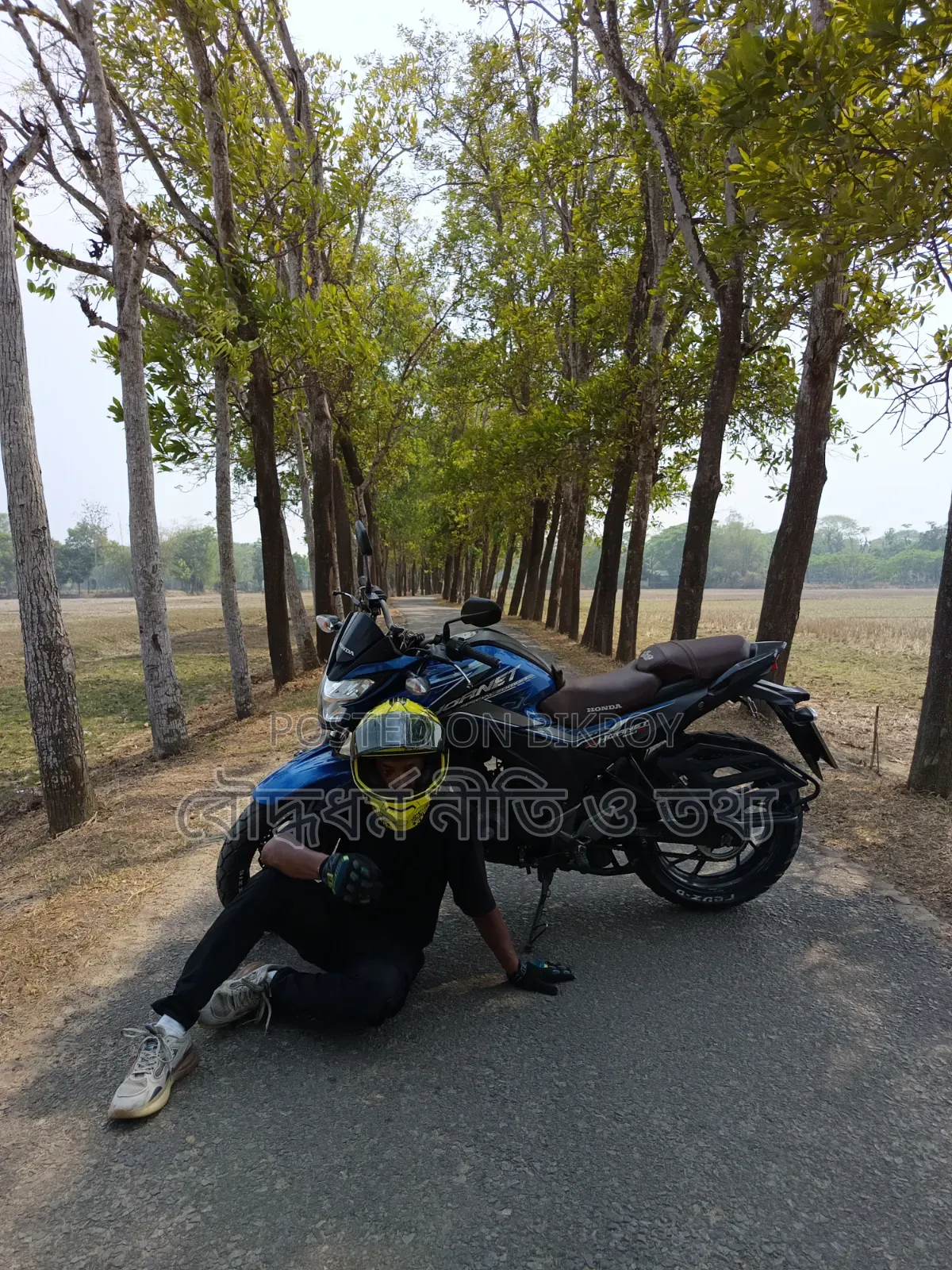 Honda Hornet 2021 Blue