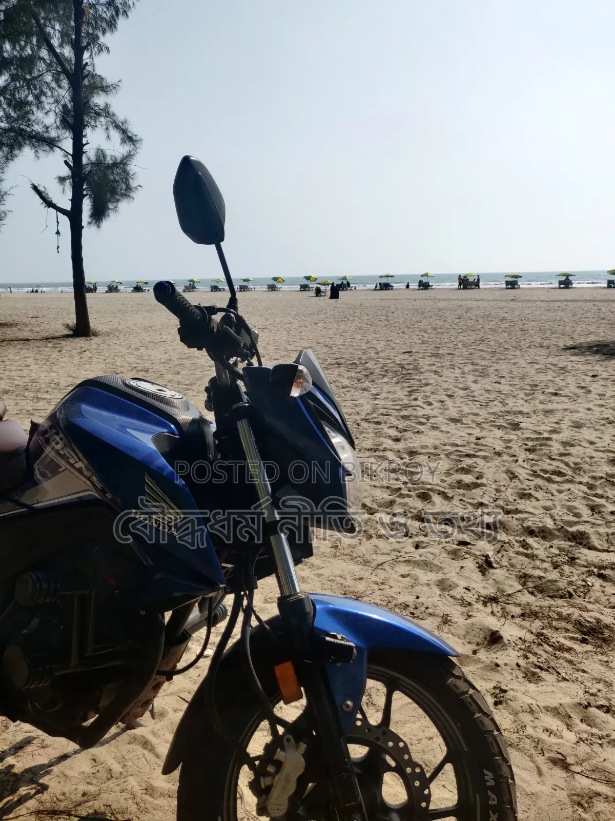 Honda Hornet 2021 Blue
