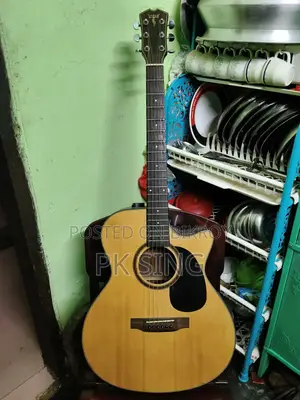 Lsten Guitar