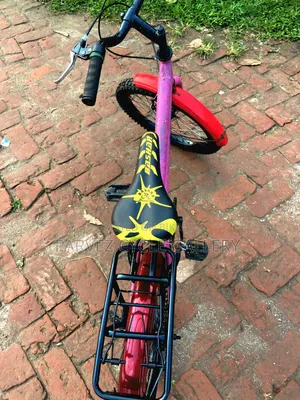 20-inch Kids Bicycle | Fully Serviced | ৳4,200