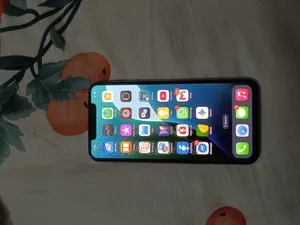 Apple iPhone XS Max 64 GB সাদা