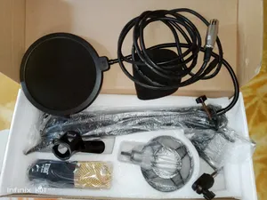 BM.800 Microphone