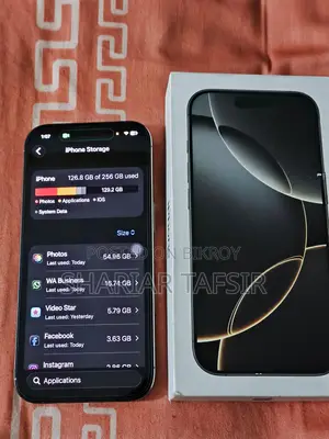 Apple iPhone 16 Pro 256 GB Silver