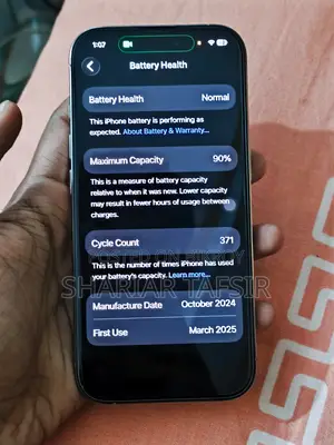 Apple iPhone 16 Pro 256 GB Silver