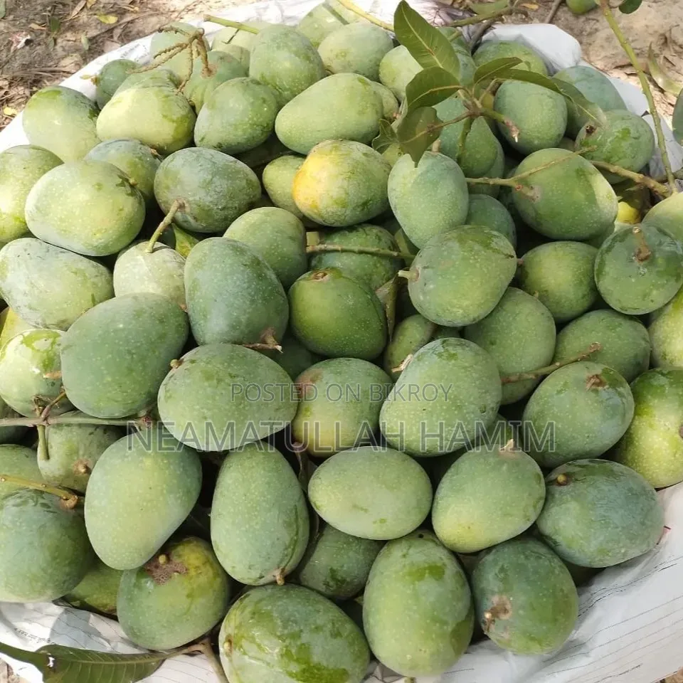 Himsagar Mangoes for Sale