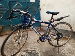Allan Bicycle