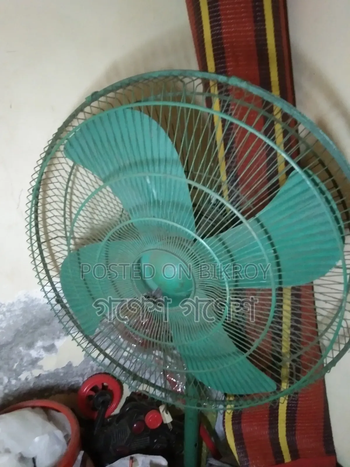 Pakistani Fan