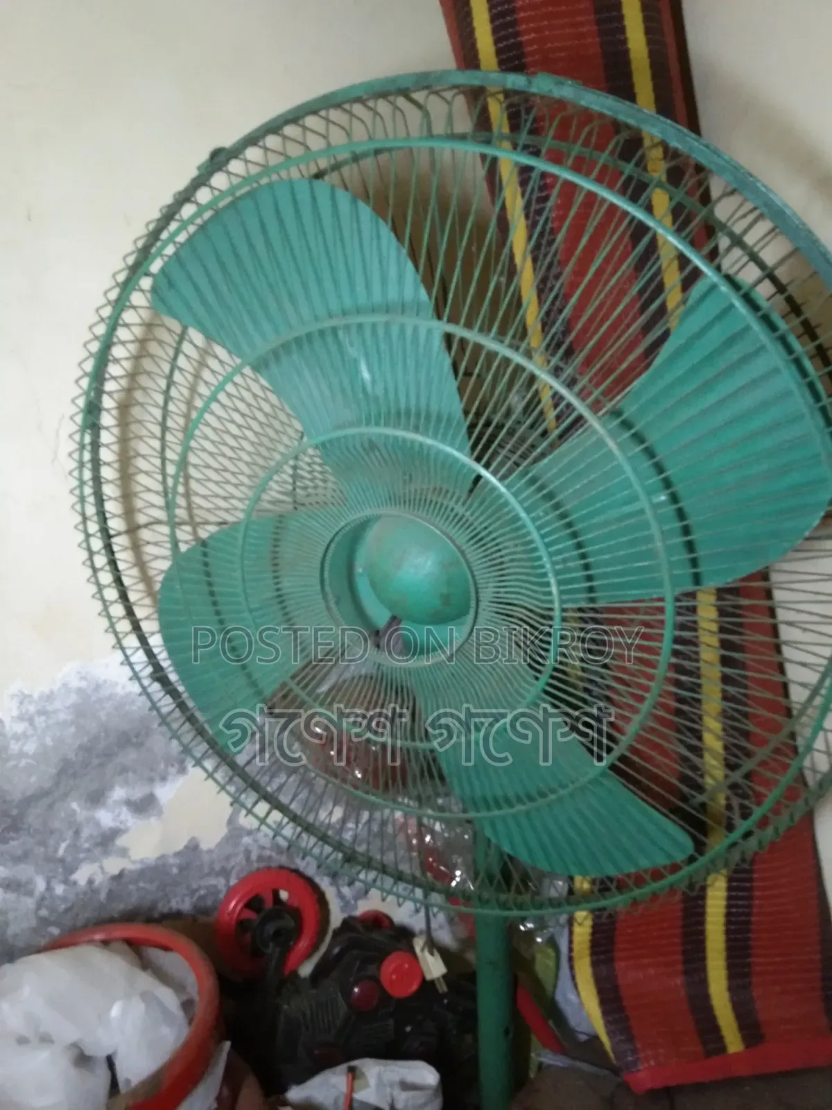 Pakistani Fan