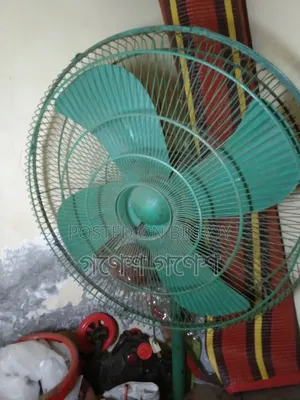 Pakistani Fan