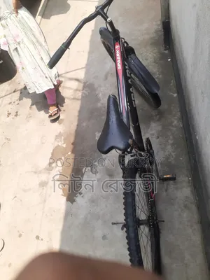 বাইসাইকেল কল করে আসতে পারেন দেখে শুনে নেবেন