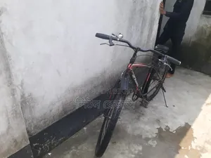 বাইসাইকেল কল করে আসতে পারেন দেখে শুনে নেবেন