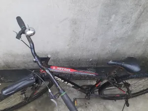 বাইসাইকেল কল করে আসতে পারেন দেখে শুনে নেবেন