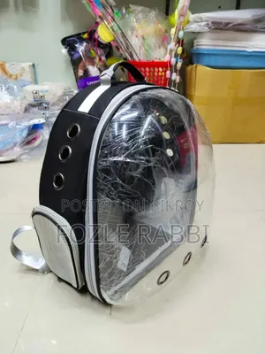 ৬-১২ মাস বয়সী ফিমেল মিক্সড ব্রিড পার্সিয়ান