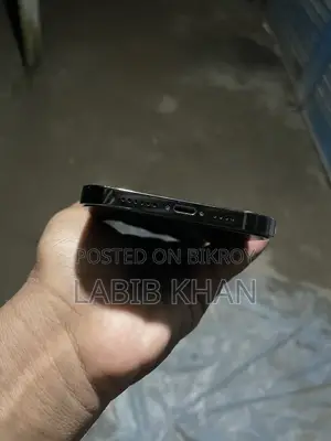 অ্যাপল আইফোন ১২ প্রো ম্যাক্স ১২৮ জিবি
