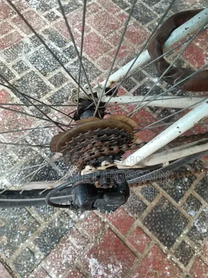Cycle for Sale