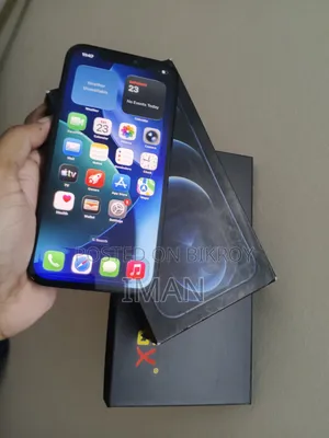 অ্যাপল আইফোন ১২ প্রো ম্যাক্স ২৫৬ জিবি ব্লু