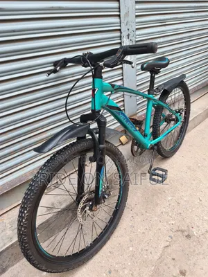 Veloce Junior Bicycle, No Problems, Everything Okay