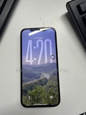 Apple iPhone 12 Pro Max 256 GB Gray
