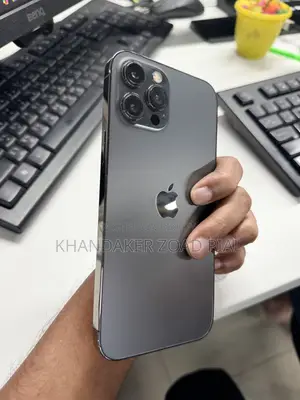Apple iPhone 12 Pro Max 256 GB Gray