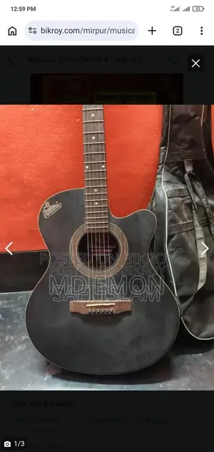 Acoustic Guitar