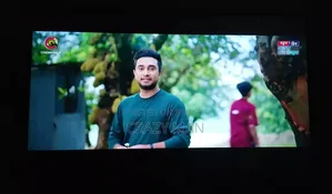 49" Singer Smart TV for sale