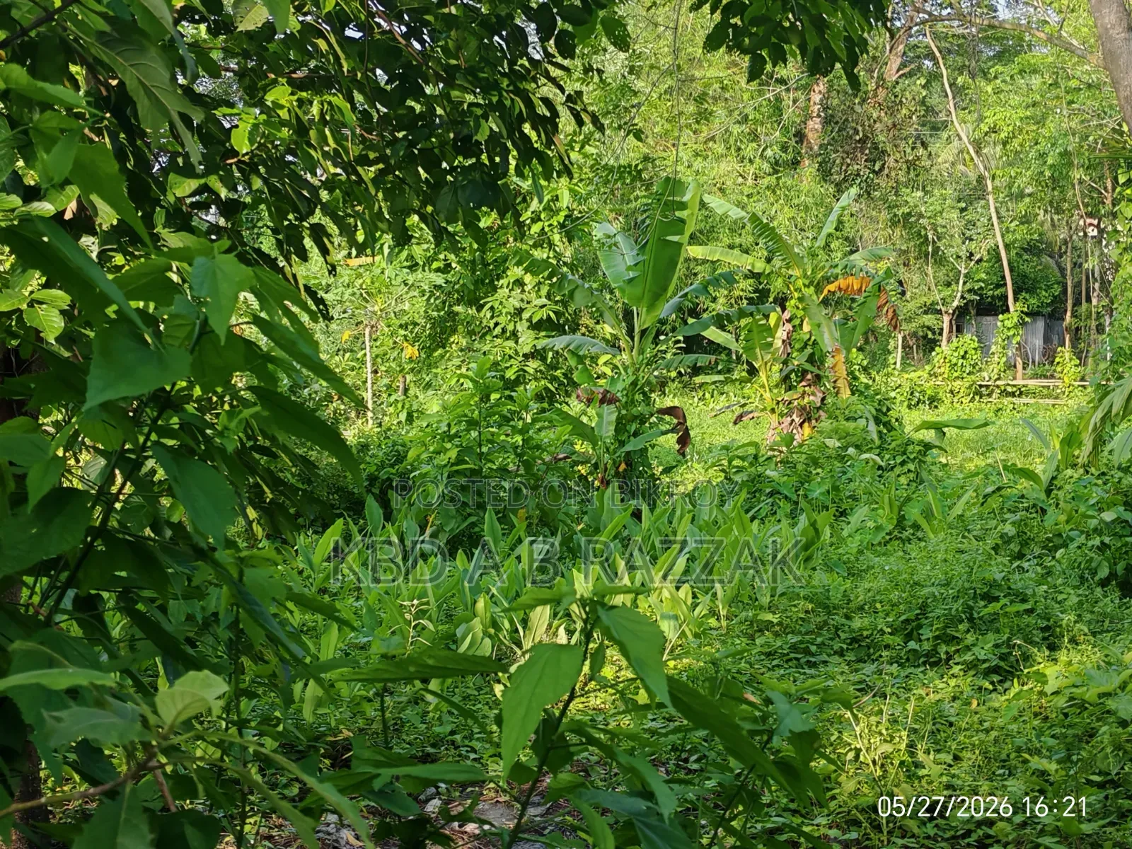 Adulteration-free land for sale.
