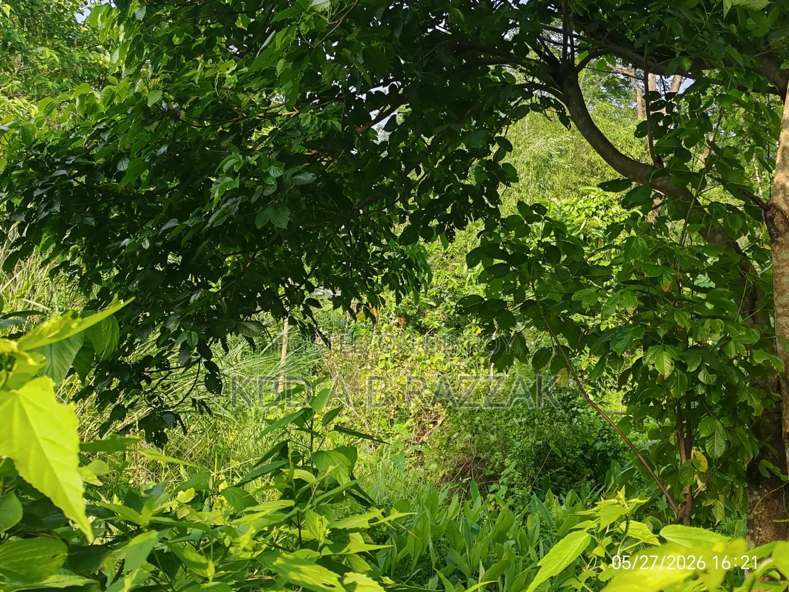 Adulteration-free land for sale.