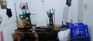 Royal Plug Factory Sale