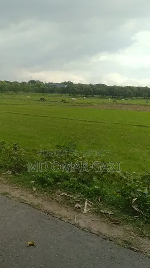 মেরি ল্যান্ড রিভারভিউ সিটি