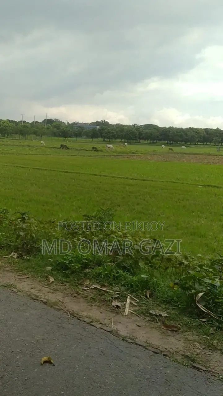মেরি ল্যান্ড রিভারভিউ সিটি
