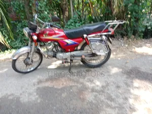Hero Ignitor 2016 Red