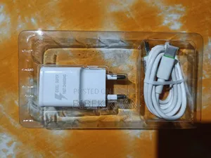 এক্সেল ২১ ওয়াট চার্জার