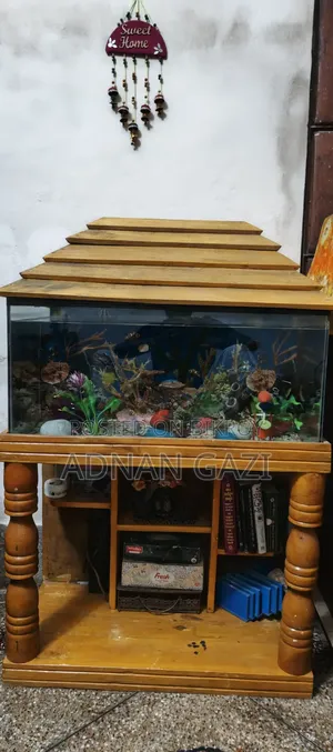 Aquarium Setup