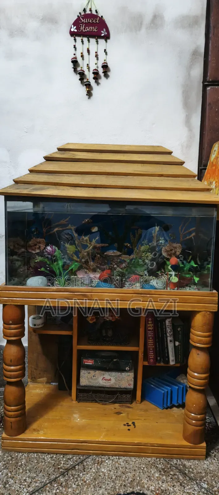 Aquarium Setup