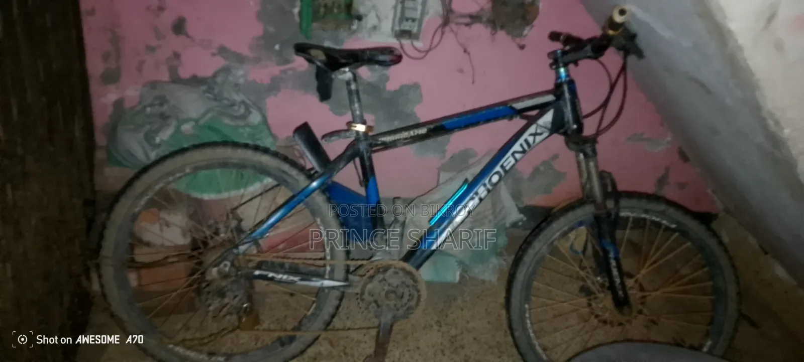 Bicycle (6000)
