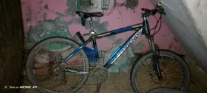 Bicycle (6000)