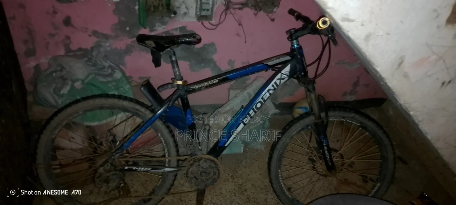 Bicycle (6000)