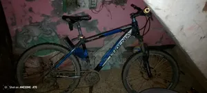 Bicycle (6000)
