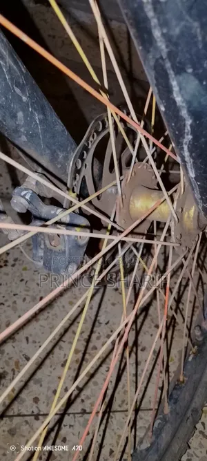 Bicycle (6000)
