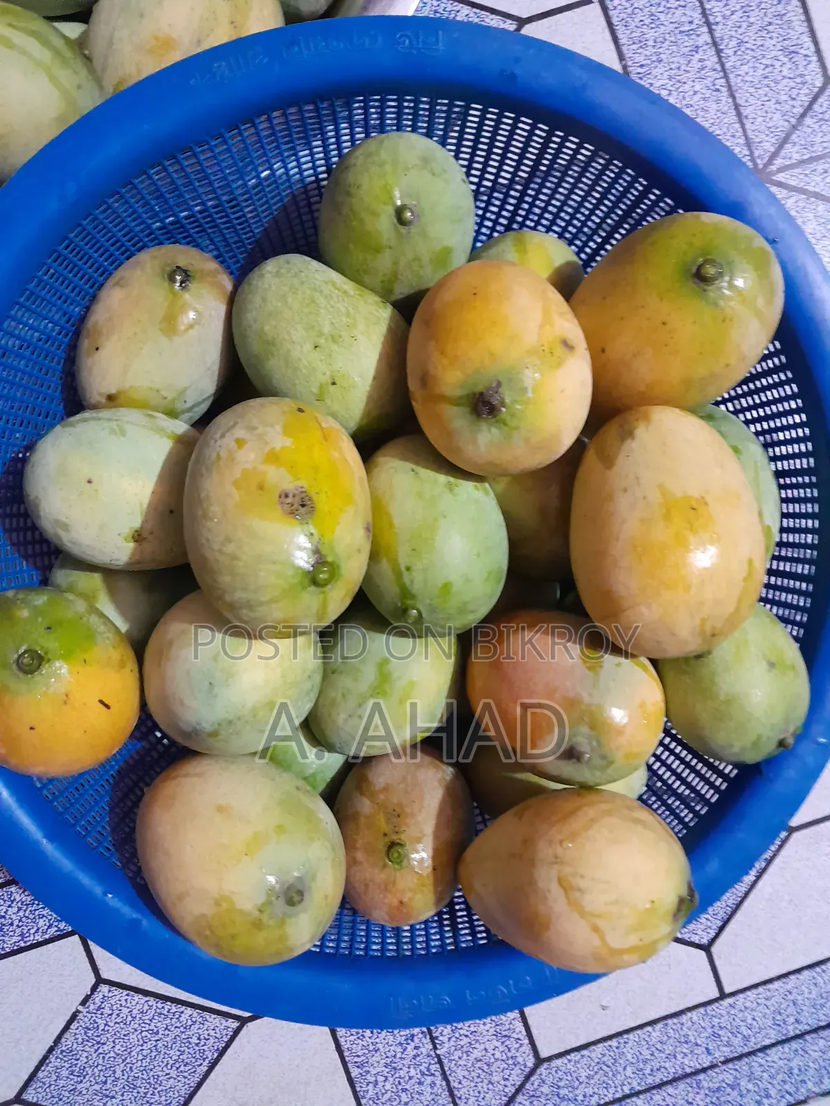 আমরুপালি আম