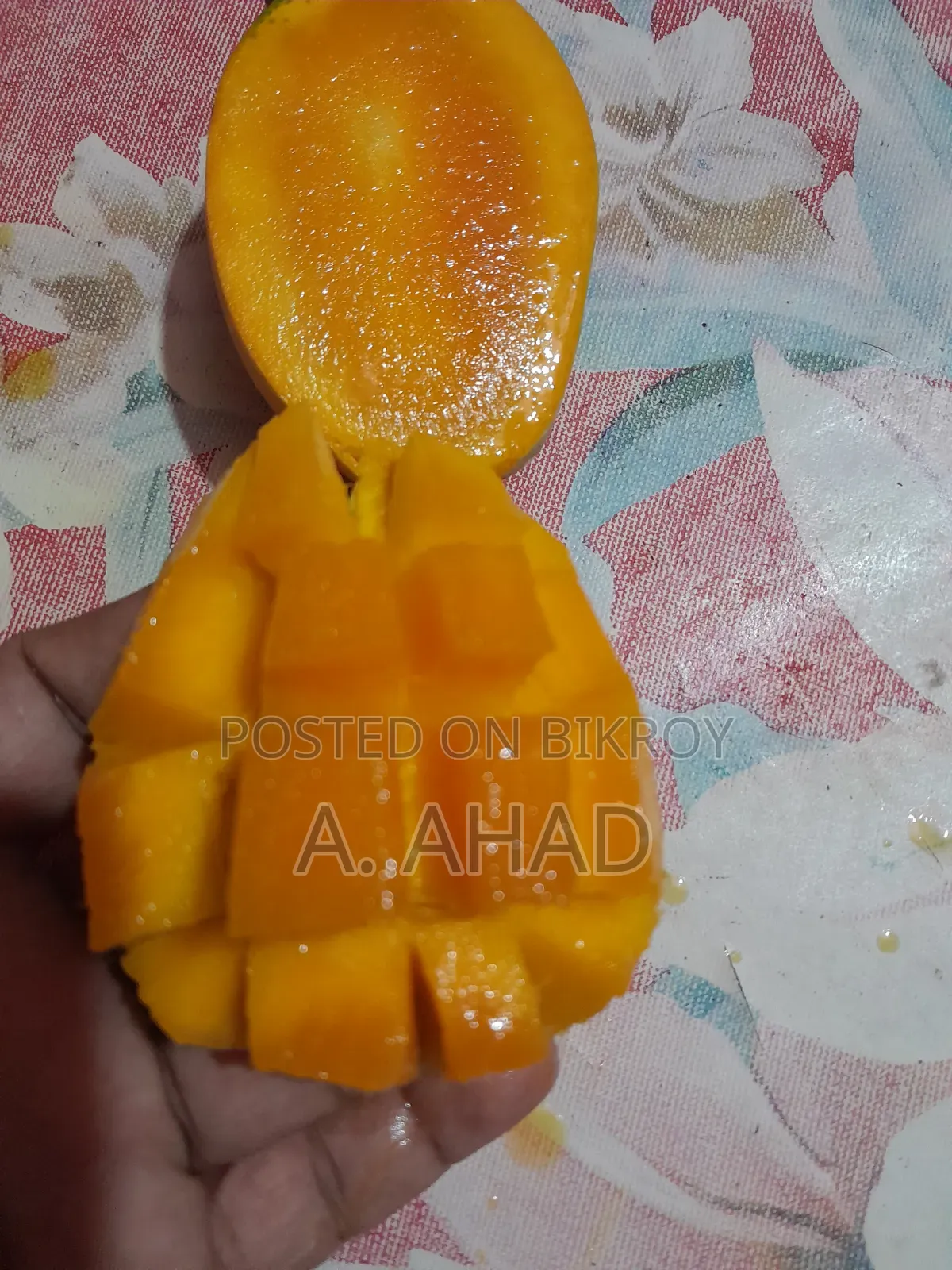 আমরুপালি আম