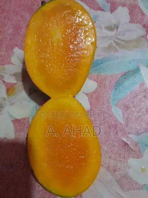 আমরুপালি আম