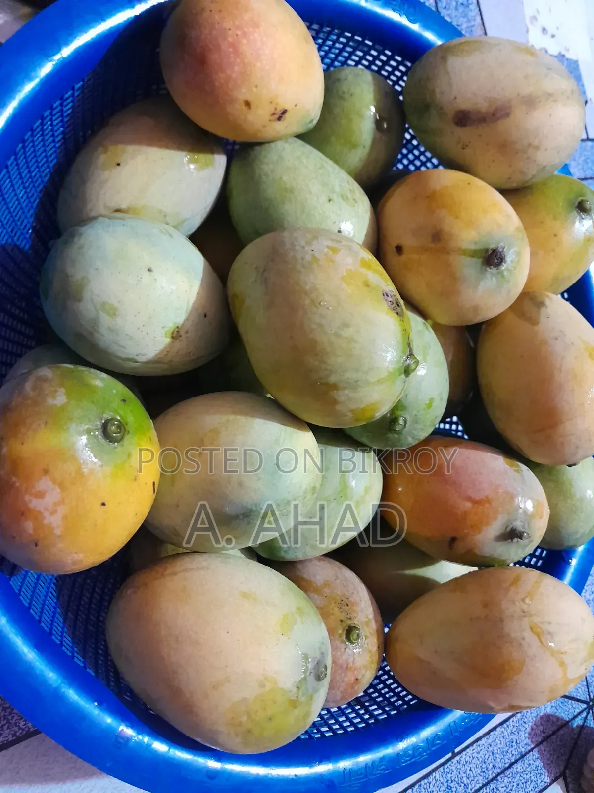 আমরুপালি আম