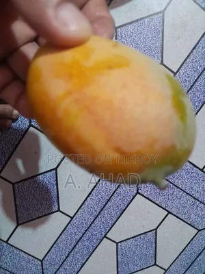 আমরুপালি আম